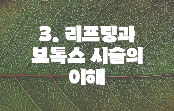 3. 리프팅과 보톡스 시술의 이해