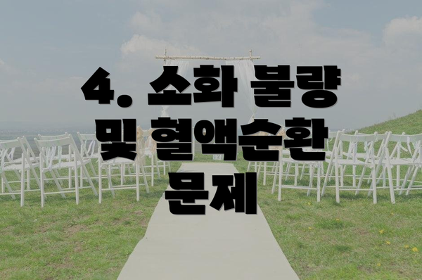 4. 소화 불량 및 혈액순환 문제