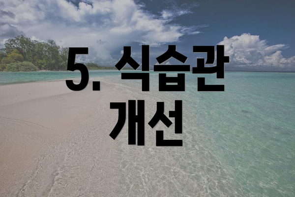 5. 식습관 개선