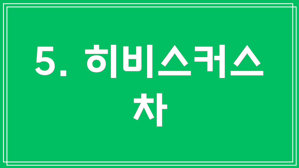 5. 히비스커스 차