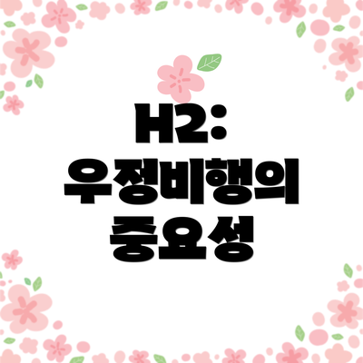 H2: 우정비행의 중요성