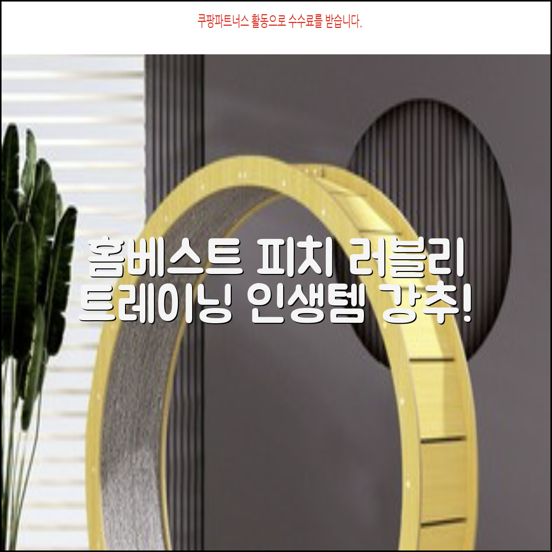 홈베스트 트레이닝 매트 70x180x4cm, 러블리_피치 추천 리뷰