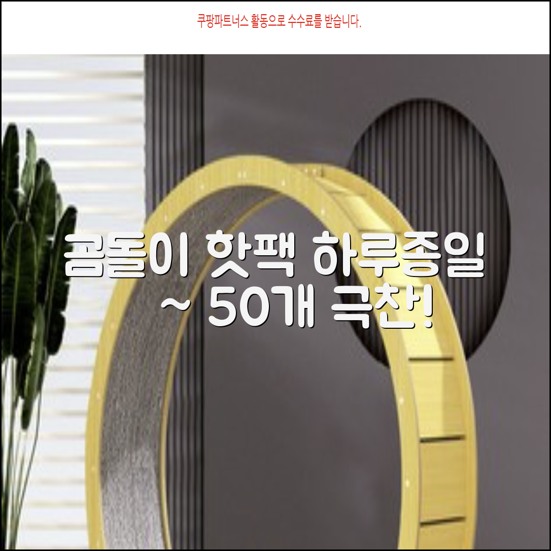 곰도리 하루종일 촥~ 붙이는 핫팩 장시간 고급형, 50개 추천 리뷰