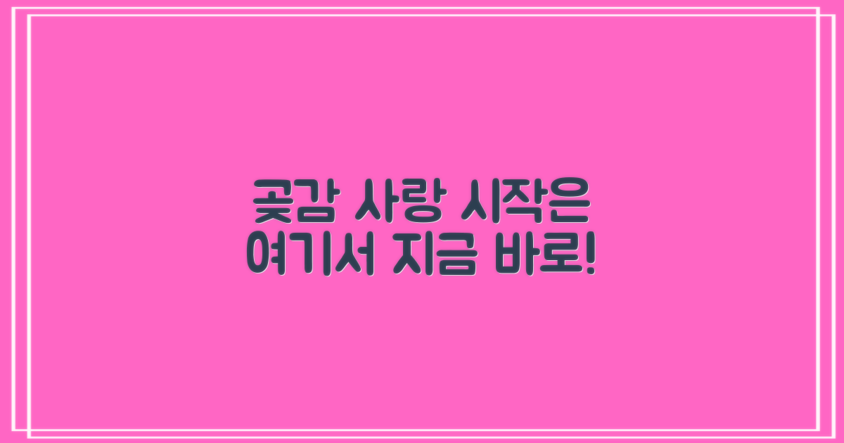 곶감 사랑, 시작해봐요