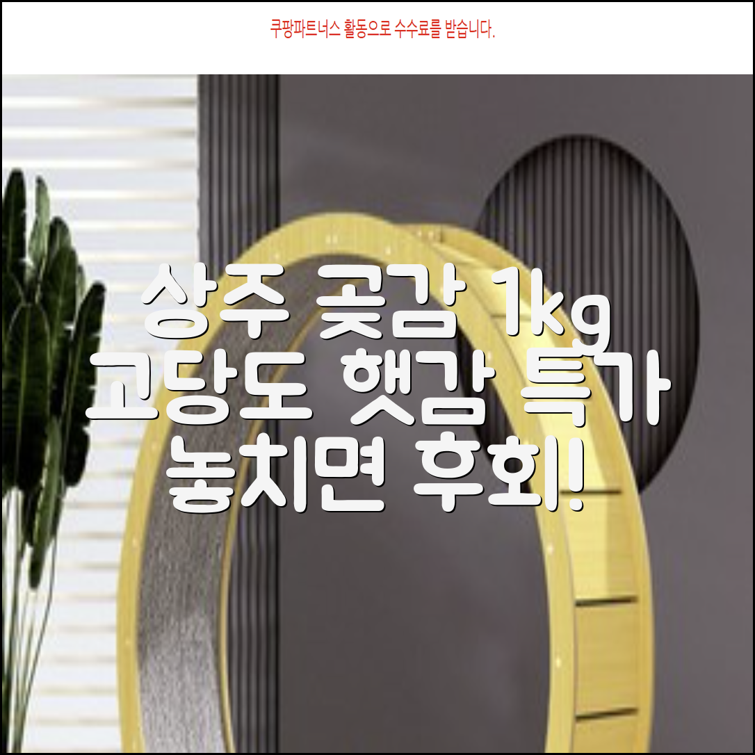 상주 곶감 초특가 1kg 고당도 햇감, 1개 추천 리뷰