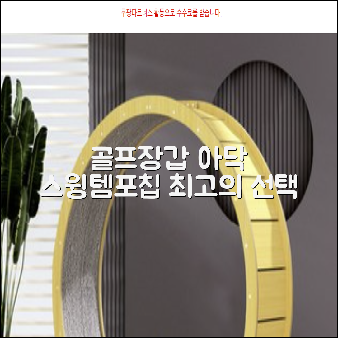 아닥 남성용 스윙템포칩 논슬립 골프장갑 왼손용, 화이트 + 그린, 1개 추천 리뷰