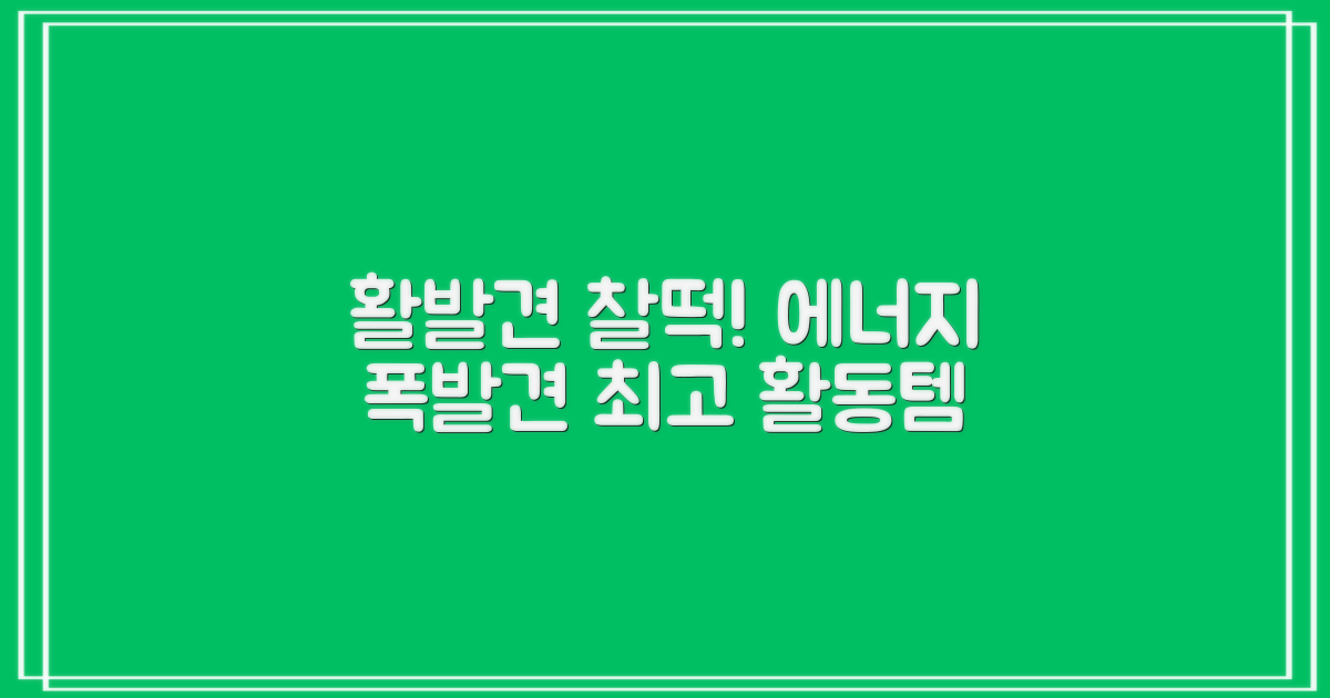 활동량 많은 강아지에게 딱