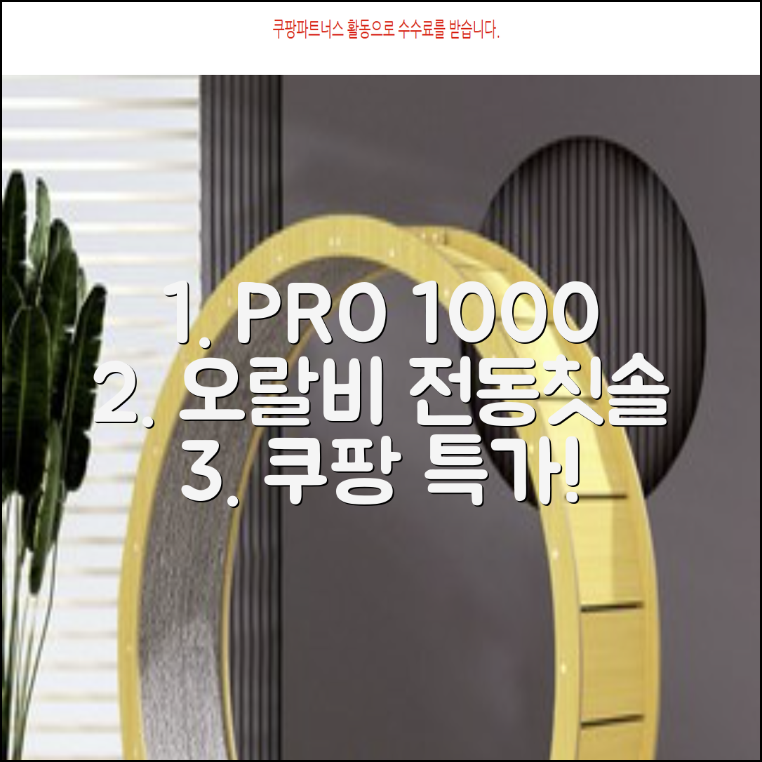 오랄비 전동칫솔, PRO 1000, 블랙, 1개 추천 리뷰
